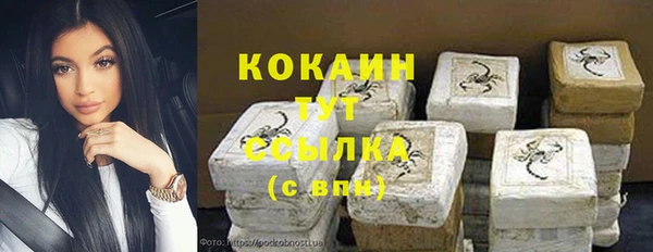стафф Ельня