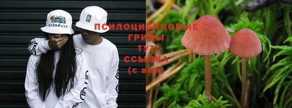 ECSTASY Елизово