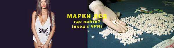 стафф Ельня