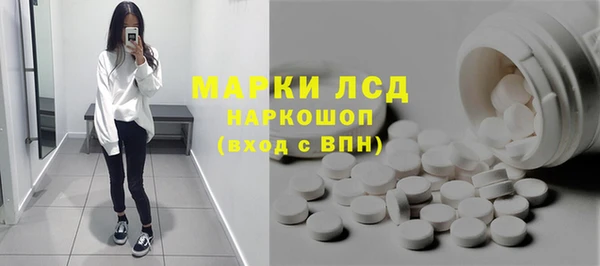 стафф Ельня
