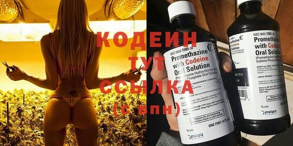 ECSTASY Елизово