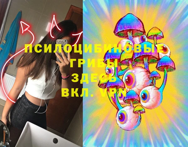 стафф Ельня