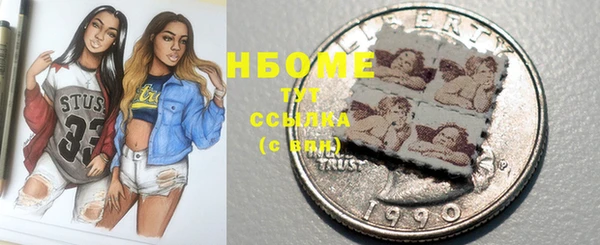 стафф Ельня