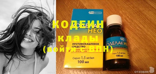стафф Ельня