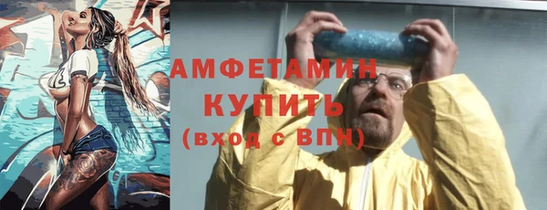 стафф Ельня