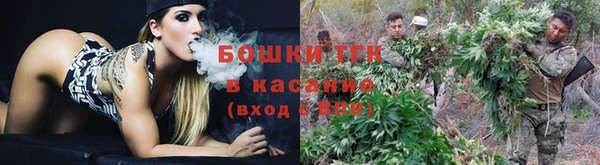 стафф Елабуга