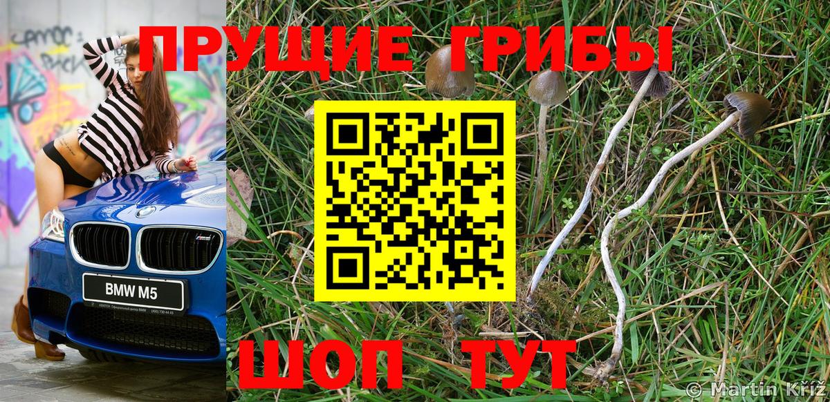Кемерово  Галлюциногенные грибы мухоморы  Вход с VPN  Псилоцибиновые грибы Psilocybe 